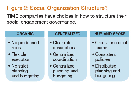 Social Organization Structure?