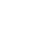 Fraud Operations
