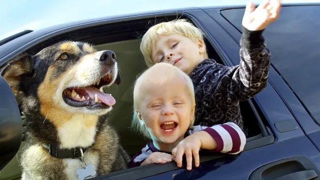 Four Ways to Handle Recalls More Effectively