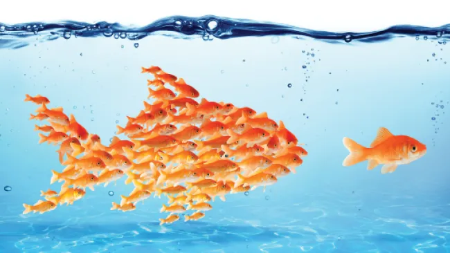 Examining the DNA of Transformational Leaders
