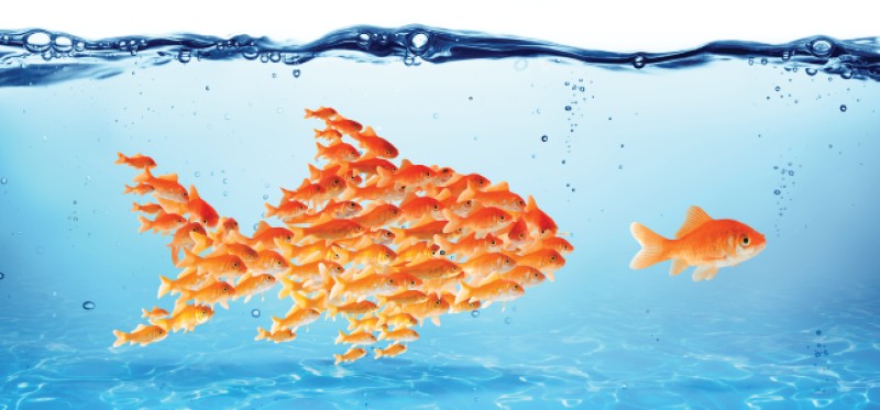 Examining the DNA of Transformational Leaders