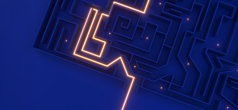 A maze with the route through it illuminated