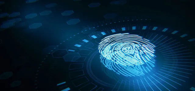 Digital image of a fingerprint on a screen 